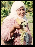 fatma_gursoy_colak.jpg