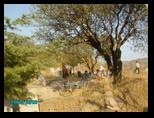 pict1772.jpg