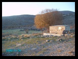 pict0579.jpg