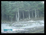 pict0537.jpg