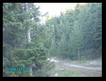 pict0544.jpg
