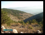 pict0546.jpg