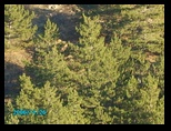 pict0552.jpg