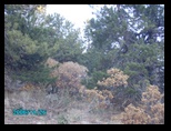 pict0558.jpg