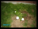 pict0083.jpg