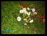 pict0084.jpg