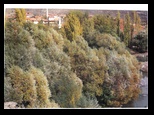 bayram_137.jpg