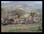 cukur_agil_2_ayse_bahar_ozdemir.jpg