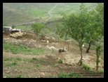 cukur_agil_ayse_bahar_ozdemir.jpg