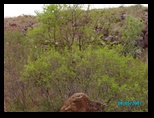imgp0165.jpg