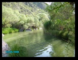 pict0053.jpg