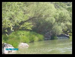 pict0057.jpg