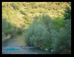 pict0060.jpg
