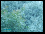 pict0107.jpg