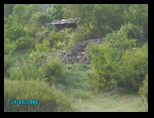 pict0118.jpg