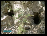 pict0227.jpg