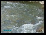 pict0313.jpg