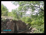 pict0429.jpg