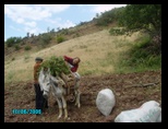pict0457.jpg