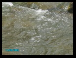 pict0544.jpg