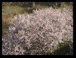 pict0929.jpg