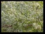 pict1040.jpg