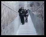 yunus_karadayi.jpg