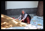 emine_nazlinin_bugday_sevinci.jpg