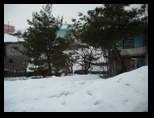 pict0007.jpg