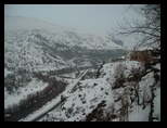 pict0009.jpg