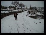 pict0011.jpg