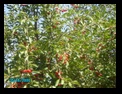 pict0827.jpg