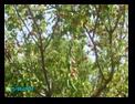 pict0829.jpg
