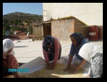 pict0010.jpg
